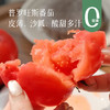 【记忆中的番茄味】普罗旺斯番茄 新鲜现摘现发 颗颗饱满自然成熟 沙瓤软心 不催熟不打药 不打催红素的西红柿 凉拌、炖炒都好吃~ 商品缩略图0