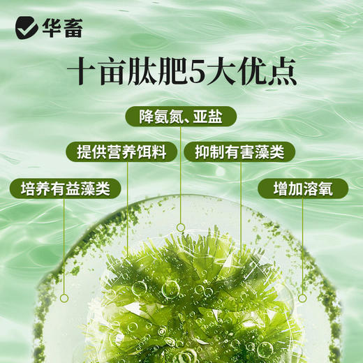 【肥水套餐】氨基酸肥水膏+十亩肽肥 商品图3