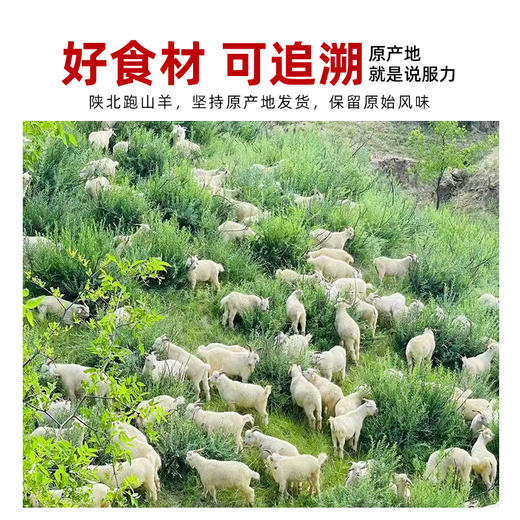 【陕北速食】陕西米脂羊蝎子火锅1.2kg 商品图3