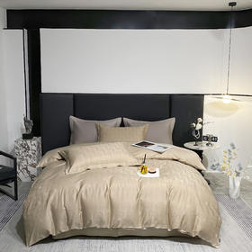 【维科家纺】全棉提花四件套-杰伊