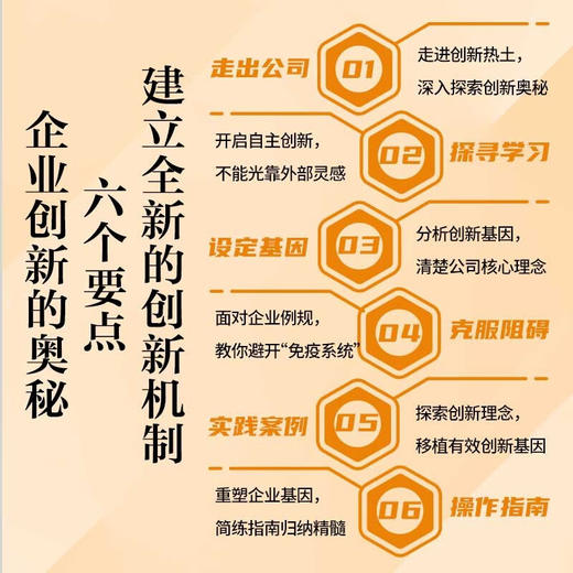 唐古拉公司:重塑传统企业创新基因的传奇故事 商品图3