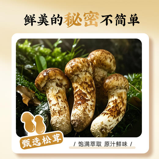 【重磅新品】珠江桥牌 松茸白灼汁300ml 1瓶/2瓶 商品图3