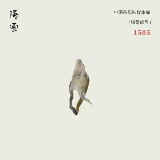 苔雾｜2025年碧螺春 商品图0