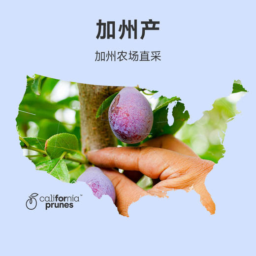 几分之几美国加州进口无核西梅干50g/500g/包个大肉厚开袋即食 商品图1