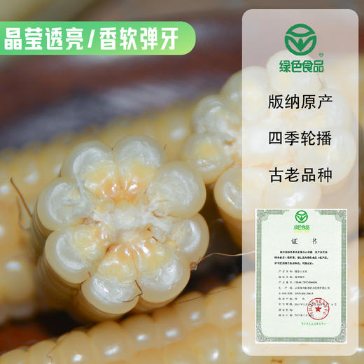 西双版纳傣家拇指糯玉米 商品图3