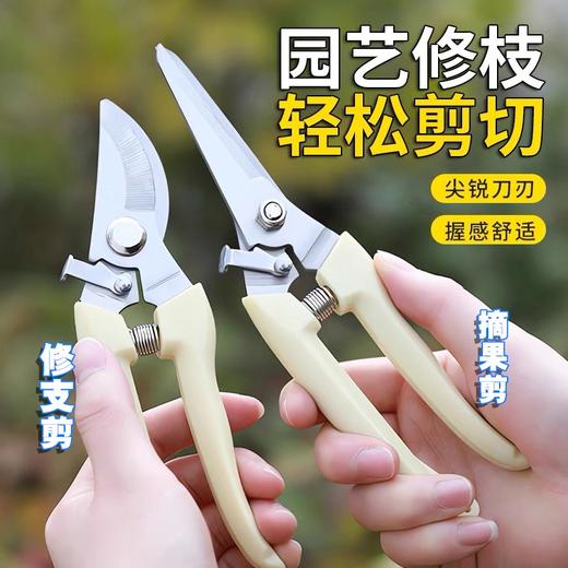 园艺剪 修枝剪 花剪 园林剪 花艺剪 剪树枝果树剪刀 枝剪修剪花卉剪子 1把 商品图0