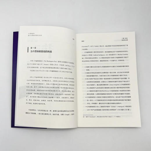 AI营销画布：数字化营销的落地与实战 商品图9