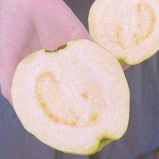 软滑爽口糯糯的口感皮薄肉厚奶油芭乐 红心芭乐 商品图5