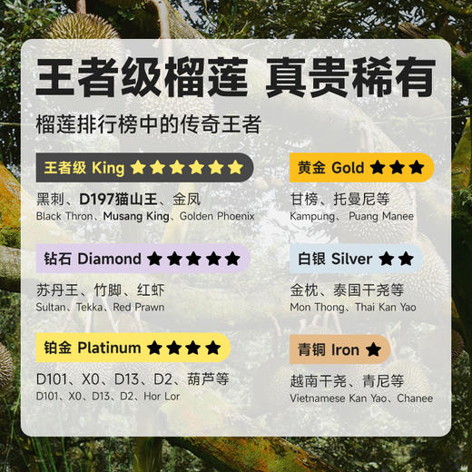 【BF】猫山王榴莲果肉400g 商品图2