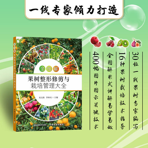 全图解果树整形修剪与栽培管理大全 商品图0
