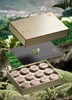 空礼盒-5978（臻·藏春系列黄金芽） 商品缩略图4