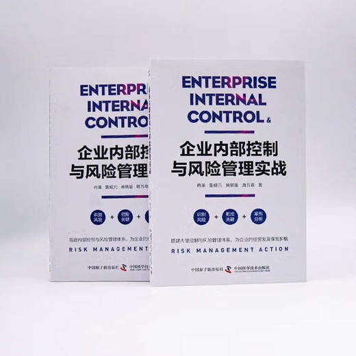 企业内部控制与风险管理实战：四大经营领域专家手把手教你如何实现企业内部控制和风险管理 商品图6
