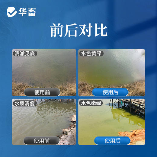 【肥水套餐】氨基酸肥水膏+十亩肽肥 商品图6