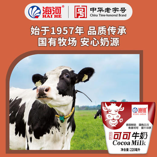 海河牛角包可可味牛奶220ml*20 商品图4