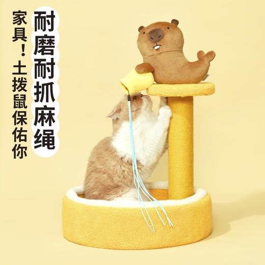 噗扑实验室  许愿池土拨鼠柱立式猫抓板猫爬架 商品图2