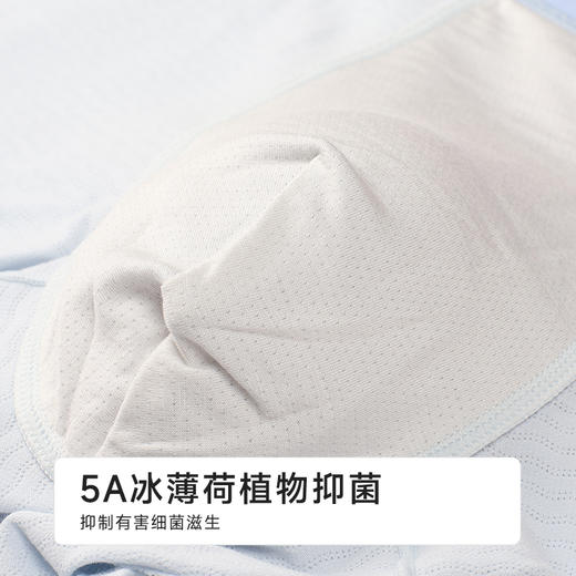 都市丽人简约基础棉平角棉粘平角裤FKHC07 商品图8