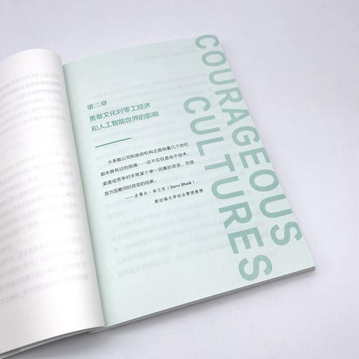 勇敢文化：发掘成长型企业的成功秘诀 商品图8