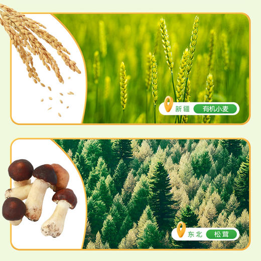 伊威有机松茸酱油100ml 商品图10