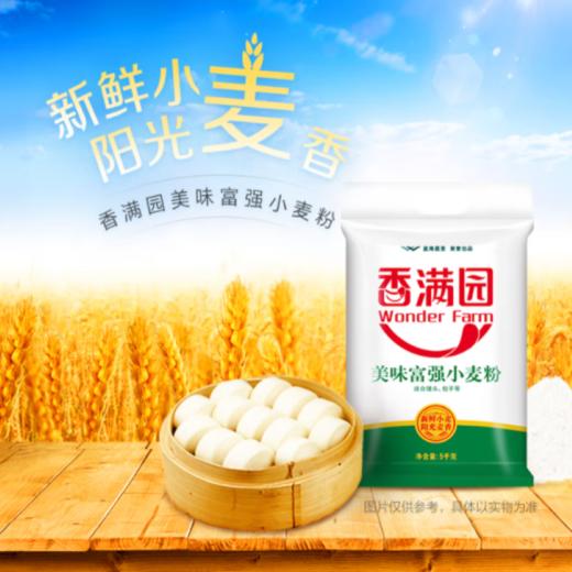 香满园美味富强小麦粉 5kg 商品图2