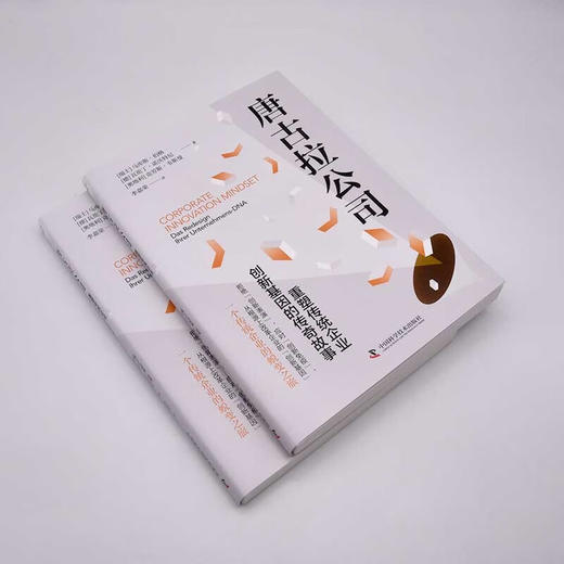 唐古拉公司:重塑传统企业创新基因的传奇故事 商品图4