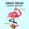乐高LEGO 野生动物：粉红火烈鸟LEGC31170 商品缩略图5