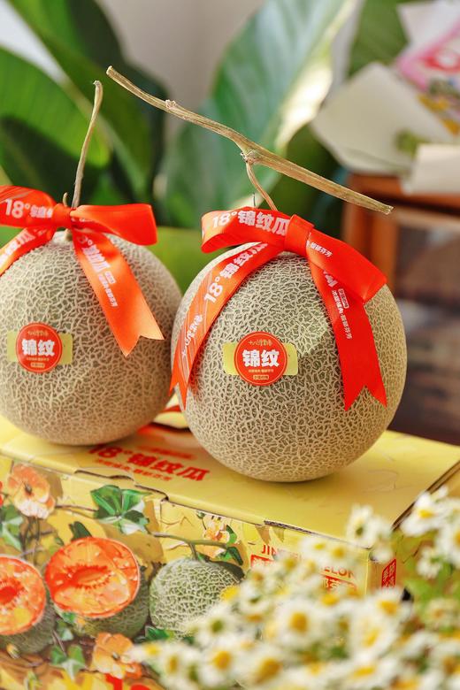 【分仓直发包邮】橘肉锦纹瓜2个装（约5-5.5斤） 商品图3