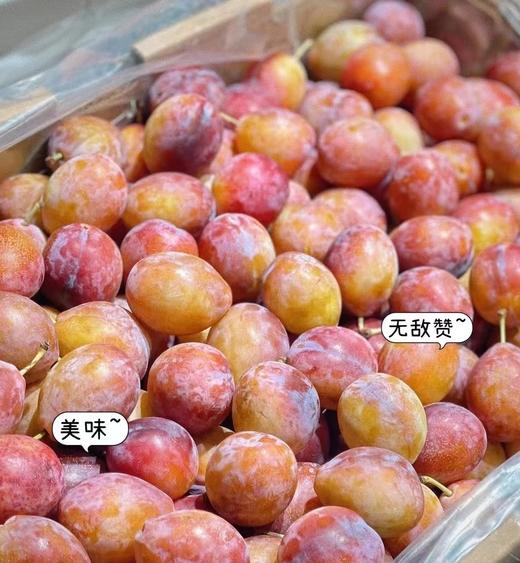 智利 单J西梅 | 水果 商品图0