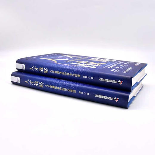 人才战略：人才发展体系的数字化搭建（精装典藏版） 商品图5