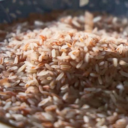 一年仅长一季的哈尼梯田胭脂红米老品种梯田红米千年古稻富含花青素软而不糯有嚼劲基地直邮儿  粮食最本来的味道 商品图1