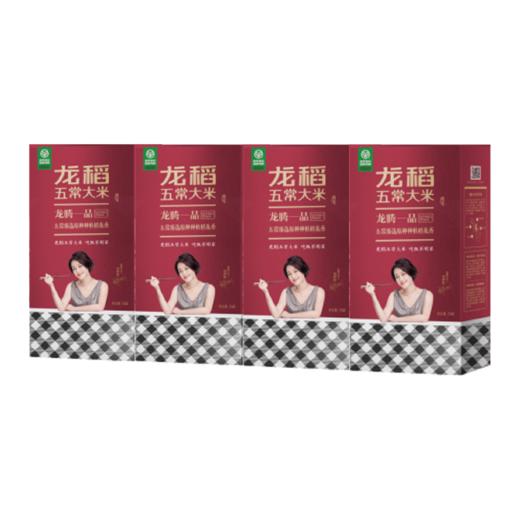 【龙稻】龙腾一品五常大米 5KG礼盒装 商品图4