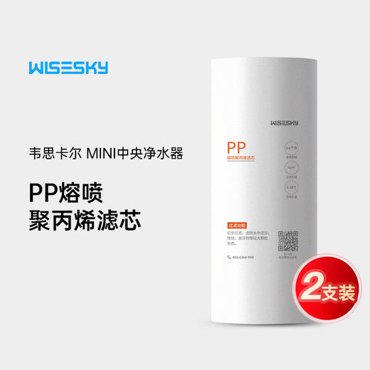 韦思卡尔WSP-PP-90T滤芯mini中央净水器大白瓶活性炭滤芯 商品图0
