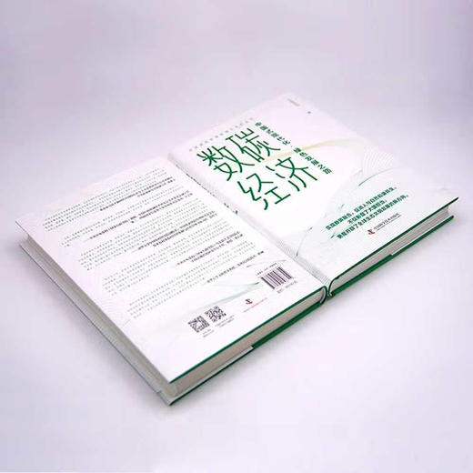 数碳经济：中国式现代化·绿色发展之路（精装典藏版） 商品图5