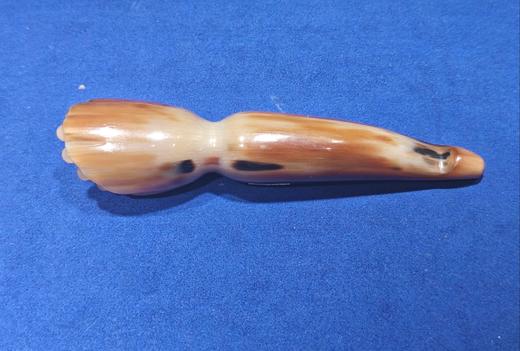 莲蓬面部美容器 商品图0