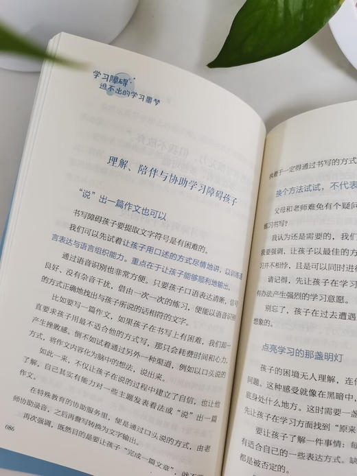 学习障碍：逃不出的学习噩梦 商品图3