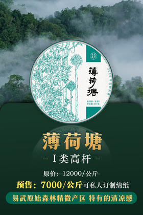 【2025薄荷塘】 Ⅰ类高杆古树，易武精微产区