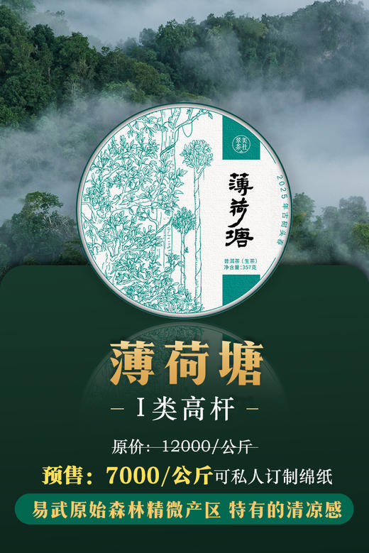 【2025薄荷塘】 Ⅰ类高杆古树，易武精微产区 商品图0