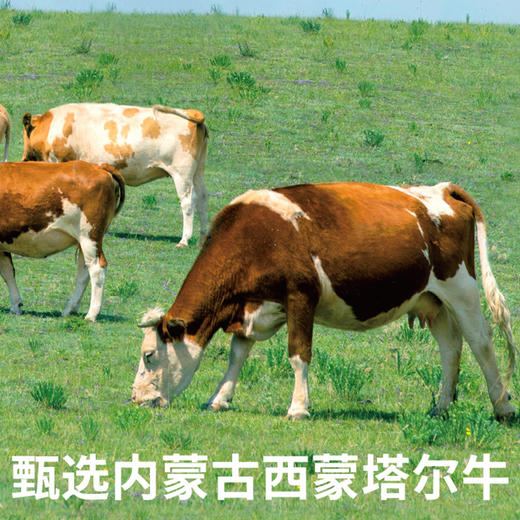 西贝牛肉卷240g【社群】 商品图2