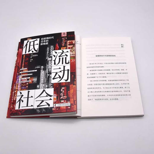 低流动社会：后疫情时代日本的新格差 商品图8