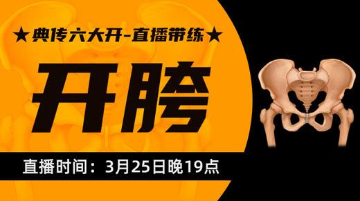 【3月25】典传六大开直播带练（开胯） 商品图0