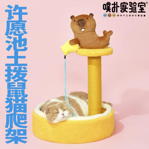 噗扑实验室  许愿池土拨鼠柱立式猫抓板猫爬架 商品图1