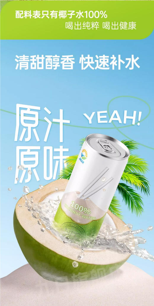 【3.15好物神价】九日冰祖椰子水越南进口100%1升*2 商品图3