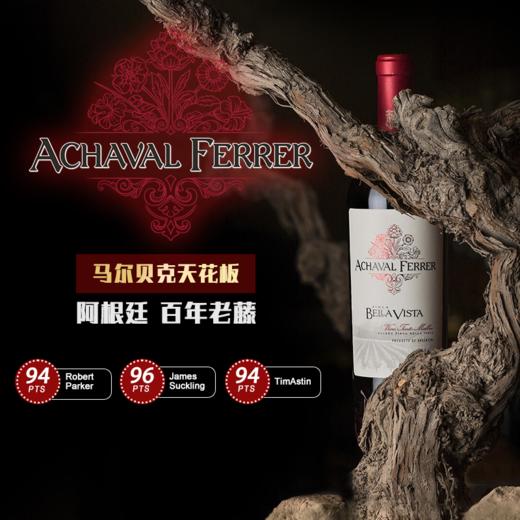 阿翡罗酒庄菲卡贝拉维萨马尔贝克红葡萄酒2019 750ml ACHAVAL FERRER FINCA BELLA VISTA MALBEC 商品图0