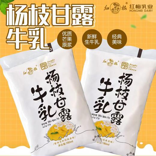 【红梅乳业】杨枝甘露牛乳180ml*16 商品图1