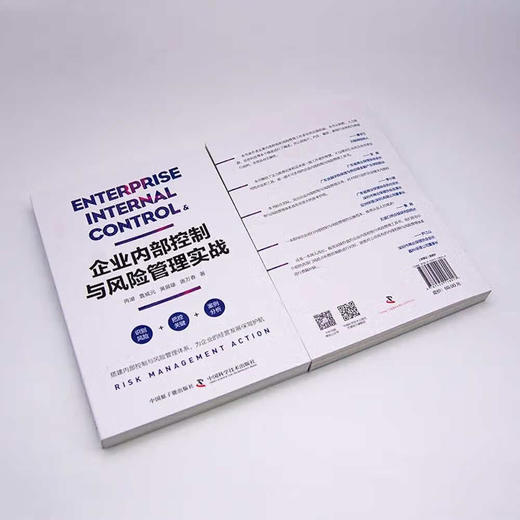 企业内部控制与风险管理实战：四大经营领域专家手把手教你如何实现企业内部控制和风险管理 商品图5