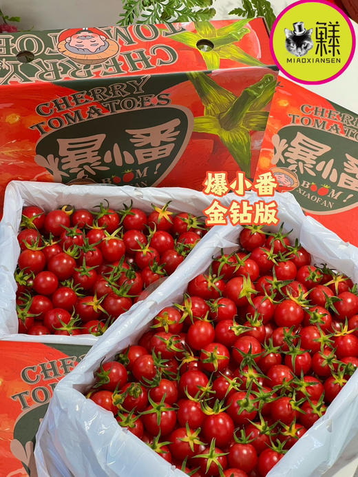 🛵新品🆕【蛙语】黄帽高糖千禧小番茄🍅1kg/盒 商品图1