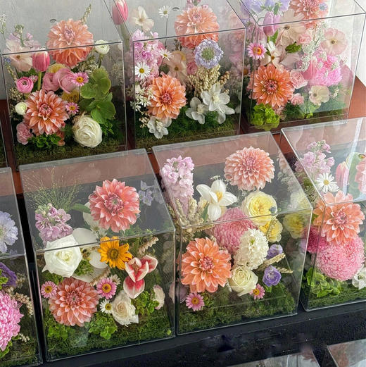 《春日桃桃》亚克力透视花盒 商品图0