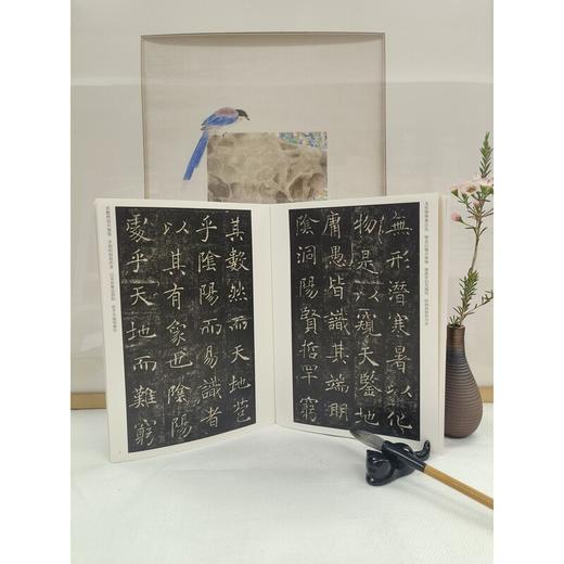 唐褚遂良雁塔圣教序 商品图4