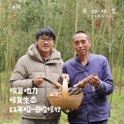生态雷竹笋（基地直发-顺丰包邮 ）｜4.5斤/箱，来自四川蒲江，生产者：张家银【合作生产，公平贸易】 商品图3