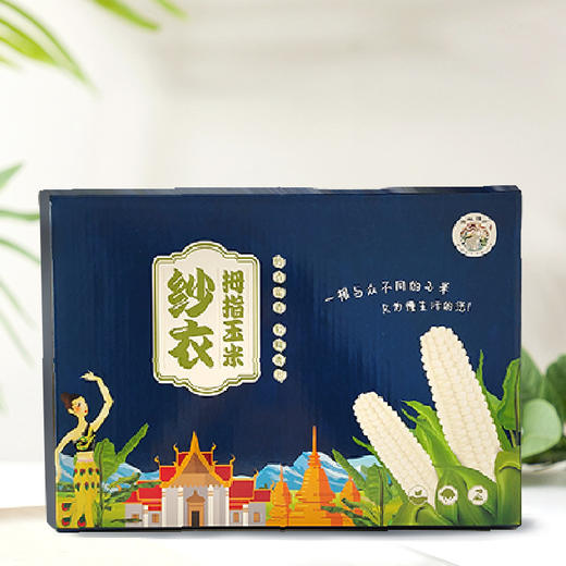 西双版纳傣家拇指糯玉米 商品图5