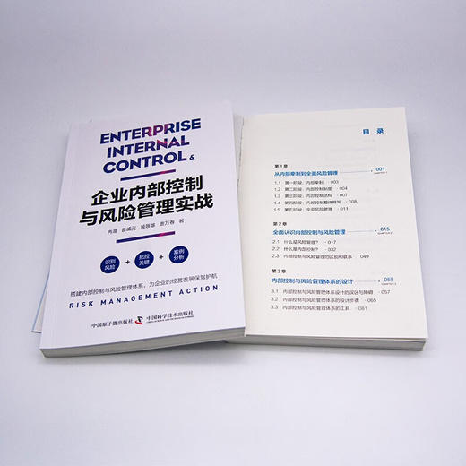 企业内部控制与风险管理实战：四大经营领域专家手把手教你如何实现企业内部控制和风险管理 商品图3